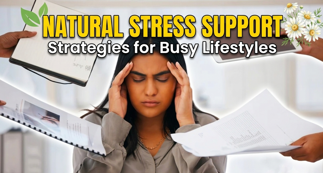 Natural Stress Support Strategies for Busy Lifestyles