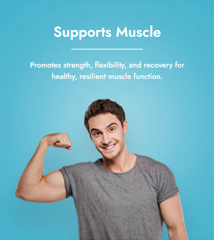 Supports Muscle